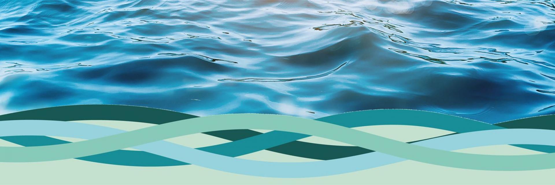 Rosenmethode Hertwig Die Rosen Methode